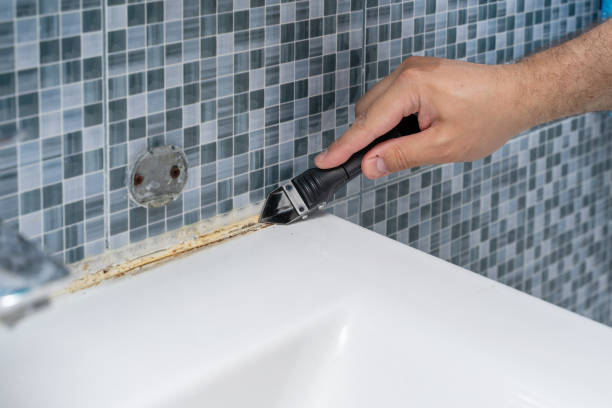 Best Commercial Mold Remediation in Coal Fork, WV